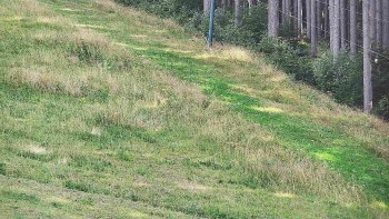Ski areál U Sachovy studánky