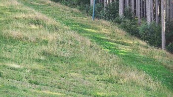 Ski areál U Sachovy studánky
