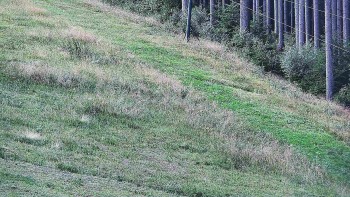 Ski areál U Sachovy studánky