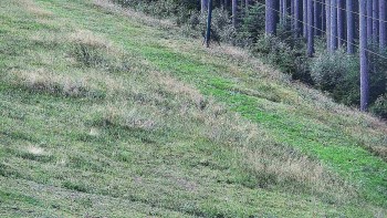 Ski areál U Sachovy studánky