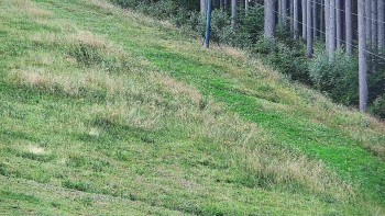 Ski areál U Sachovy studánky