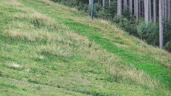 Ski areál U Sachovy studánky