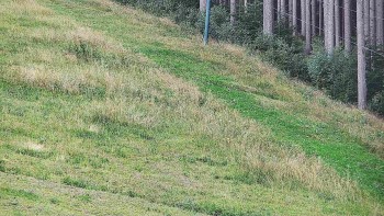 Ski areál U Sachovy studánky