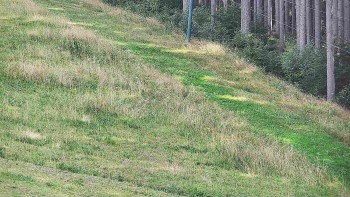 Ski areál U Sachovy studánky