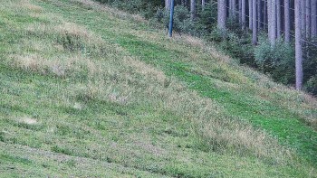 Ski areál U Sachovy studánky