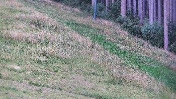 Ski areál U Sachovy studánky