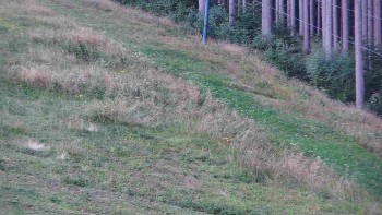 Ski areál U Sachovy studánky