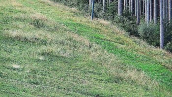 Ski areál U Sachovy studánky