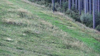 Ski areál U Sachovy studánky