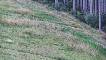 Ski areál U Sachovy studánky