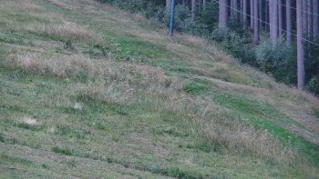 Ski areál U Sachovy studánky