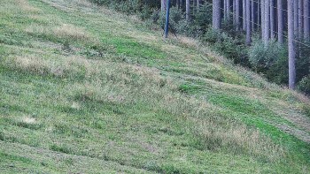 Ski areál U Sachovy studánky