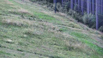 Ski areál U Sachovy studánky