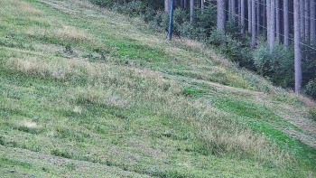 Ski areál U Sachovy studánky