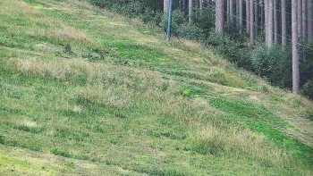 Ski areál U Sachovy studánky