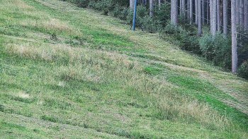 Ski areál U Sachovy studánky
