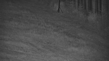 Ski areál U Sachovy studánky