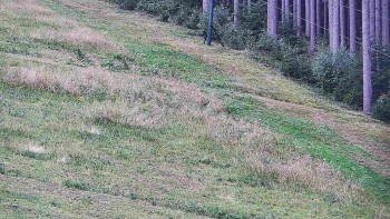 Ski areál U Sachovy studánky