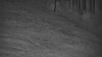 Ski areál U Sachovy studánky