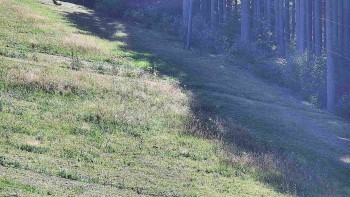 Ski areál U Sachovy studánky