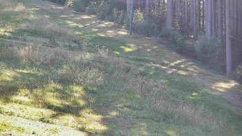 Ski areál U Sachovy studánky