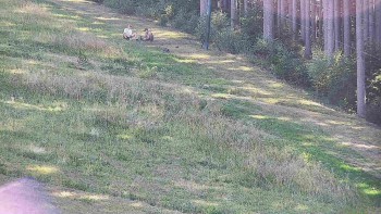 Ski areál U Sachovy studánky