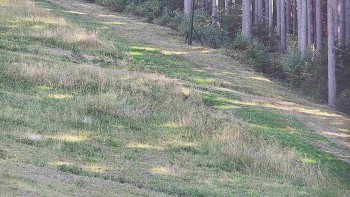 Ski areál U Sachovy studánky