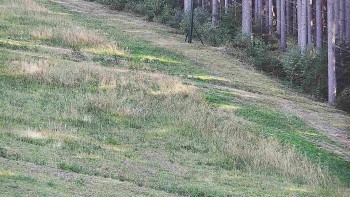 Ski areál U Sachovy studánky