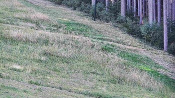 Ski areál U Sachovy studánky