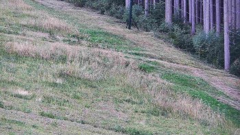 Ski areál U Sachovy studánky