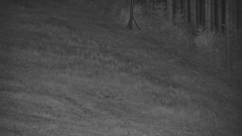 Ski areál U Sachovy studánky