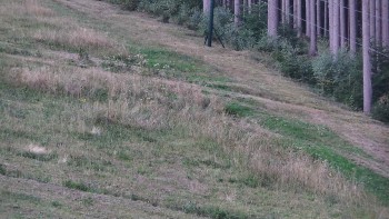 Ski areál U Sachovy studánky
