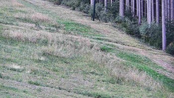 Ski areál U Sachovy studánky