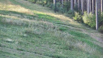 Ski areál U Sachovy studánky