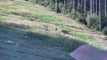 Ski areál U Sachovy studánky