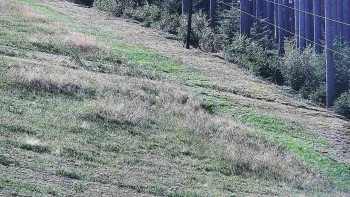 Ski areál U Sachovy studánky