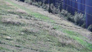 Ski areál U Sachovy studánky