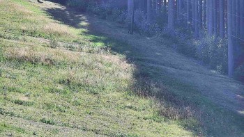 Ski areál U Sachovy studánky
