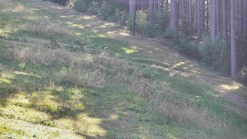 Ski areál U Sachovy studánky