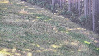Ski areál U Sachovy studánky