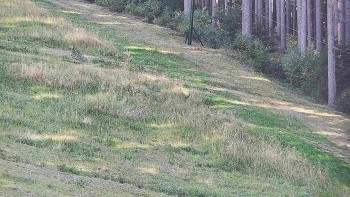 Ski areál U Sachovy studánky