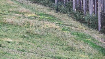 Ski areál U Sachovy studánky