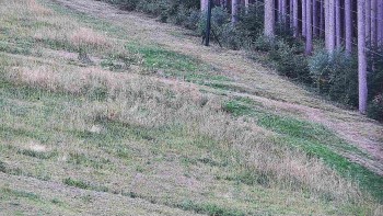 Ski areál U Sachovy studánky