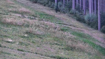 Ski areál U Sachovy studánky