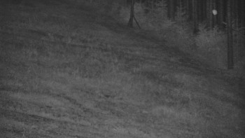 Ski areál U Sachovy studánky