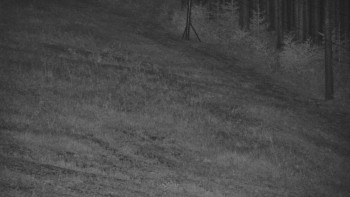 Ski areál U Sachovy studánky
