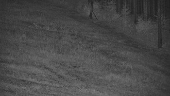 Ski areál U Sachovy studánky