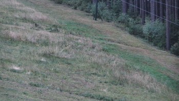 Ski areál U Sachovy studánky
