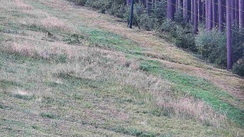 Ski areál U Sachovy studánky