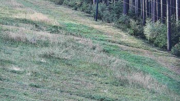 Ski areál U Sachovy studánky